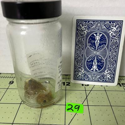 Glass Jar Specimen - Hatchetfish