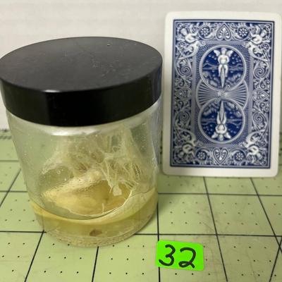 Glass Jar Specimen - Phylum Clorophyta