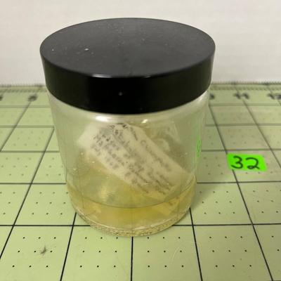 Glass Jar Specimen - Phylum Clorophyta