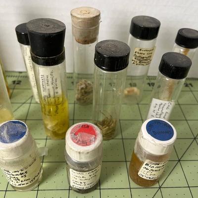 Assortment of Specimen Jars