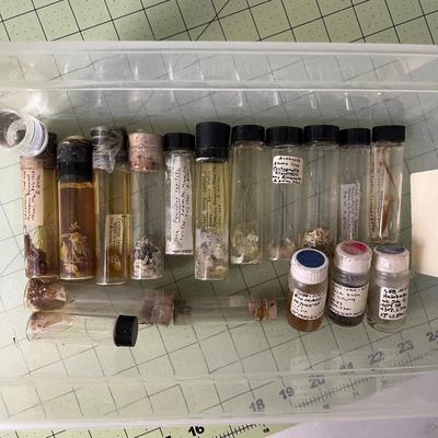 Assortment of Specimen Jars