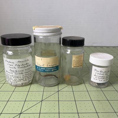 Variety of Specimen Jars