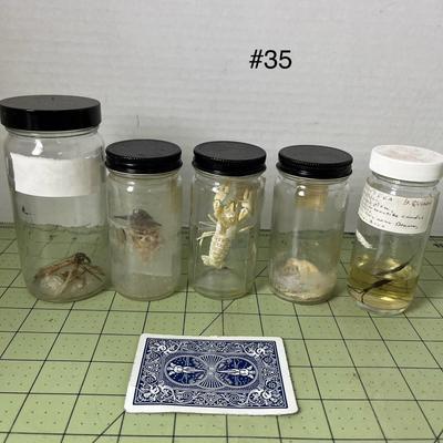 Various Specimen Jars