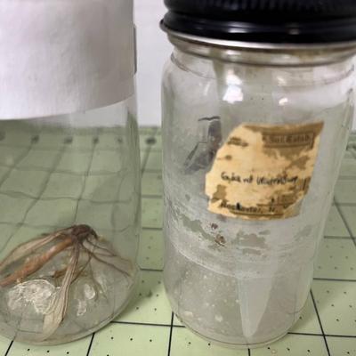 Various Specimen Jars