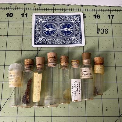 Assortment of Mini Specimen Jars