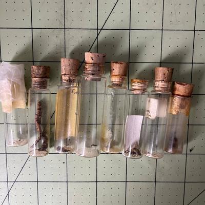 Assortment of Mini Specimen Jars