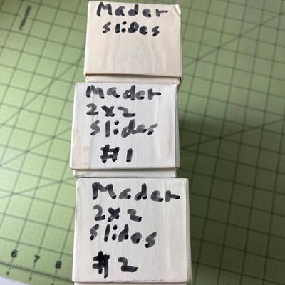 Mader Biology Slides (3 Boxes)