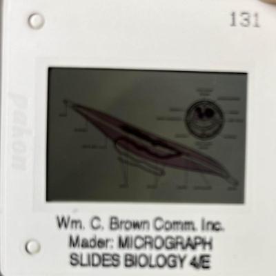Mader Biology Slides (3 Boxes)