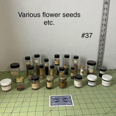 Various Seed Specimen