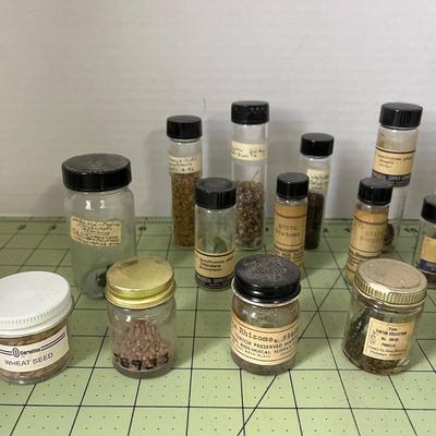 Various Seed Specimen