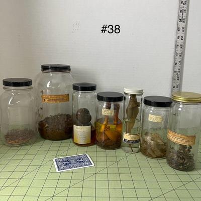 Assortment of Specimen