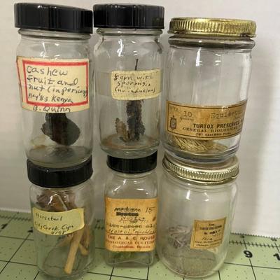 Seed Specimen
