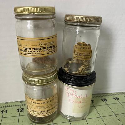 Seed Specimen
