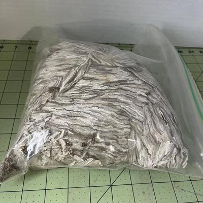 Hornet Nest Specimen