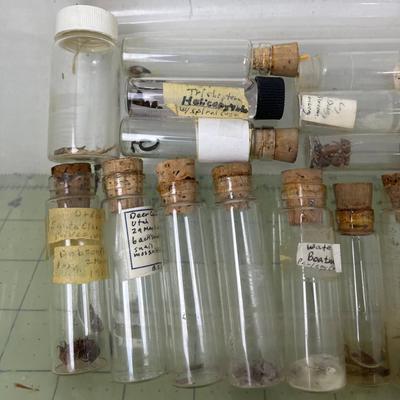 Variety of Biology Specimen Jars