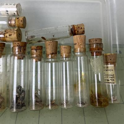 Variety of Biology Specimen Jars