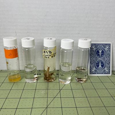 Variety of Biology Specimen Jars