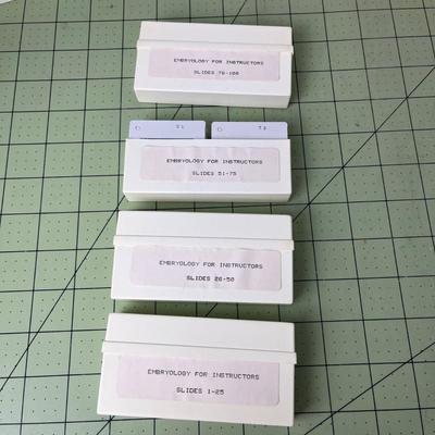 Embryology Slides (4 Boxes)