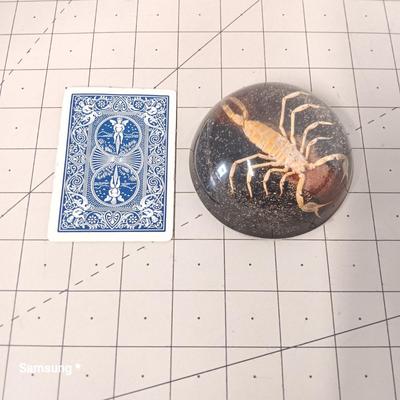 Scorpion Paperweight