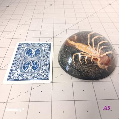 Scorpion Paperweight