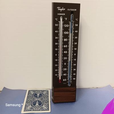 Taylor Indoor/Outdoor Thermostat