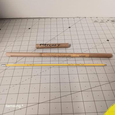 Mercury Thermometer 