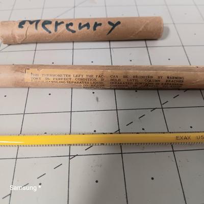 Mercury Thermometer 