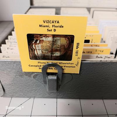 Lab Slides for Specimen