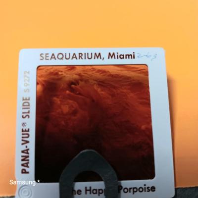 Lab Slides for Specimen