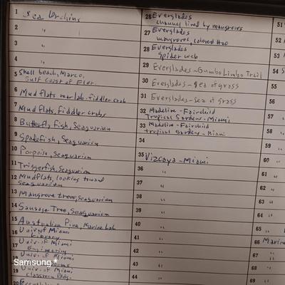 Lab Slides for Specimen
