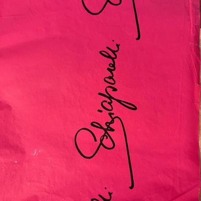 Schiapparelli panty hose