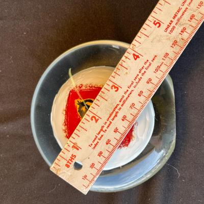Studio Glass Paperweight