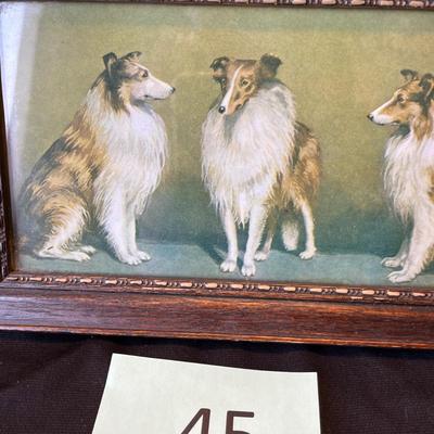 Antique Collie Print