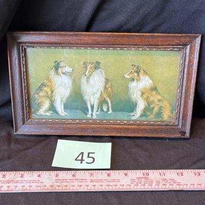 Antique Collie Print