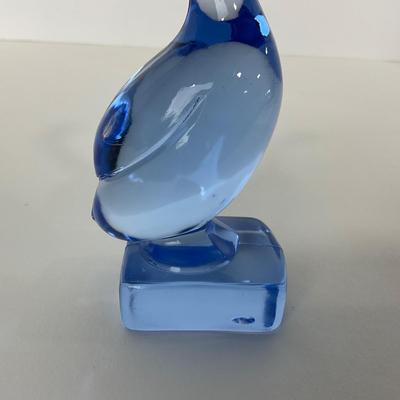 -211- UNMARKED | Light Blue Goose