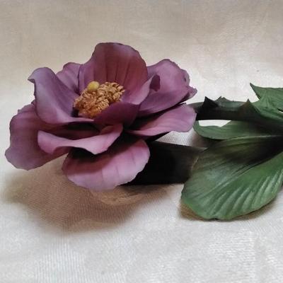 Capodimonte Japanese Magnolia