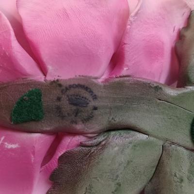 Capodimonte Japanese Magnolia