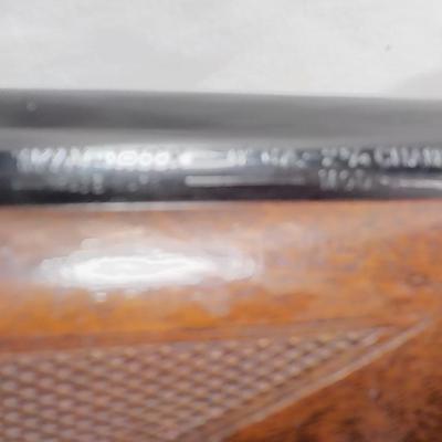 Winchester Model  59 12 gauge shot gun/semi-auto RIOT gun. est.$300 to $700.