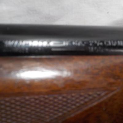 Winchester Model  59 12 gauge shot gun/semi-auto RIOT gun. est.$300 to $700.