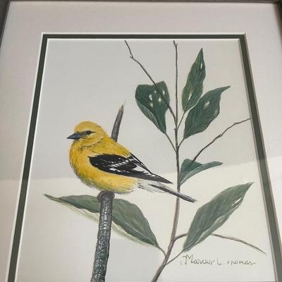 Marcus C. Thomas Framed & Matted Print & More (K-MG)