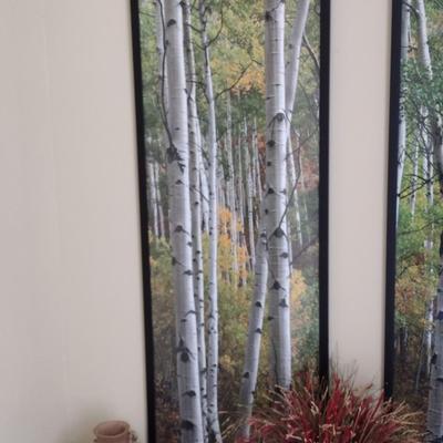 Pair of Framed Column or Pillar Art Photographs Wall Hangings