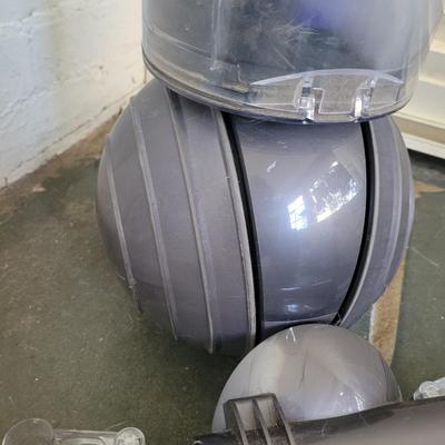 Dyson Ball Animal 2 Vacuum (FP-CE)
