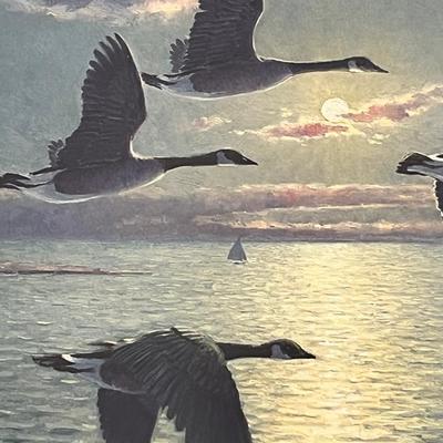 Authentic Limited Edition Collectors Print "Moonlight Flight" by John M. Barber