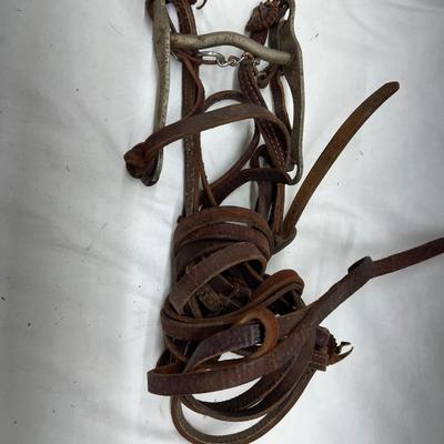 Vintage Horse Bridle