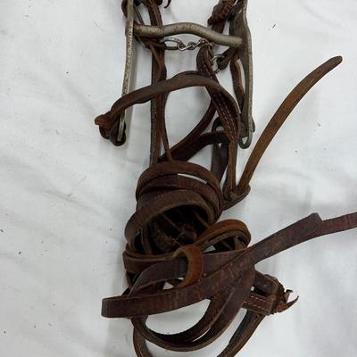 Vintage Horse Bridle