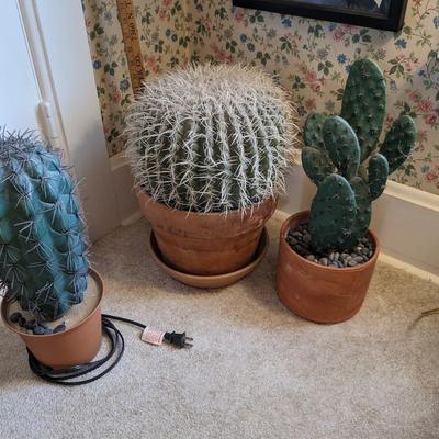 Set of 3 Artificial Cacti, 1 lights Up!