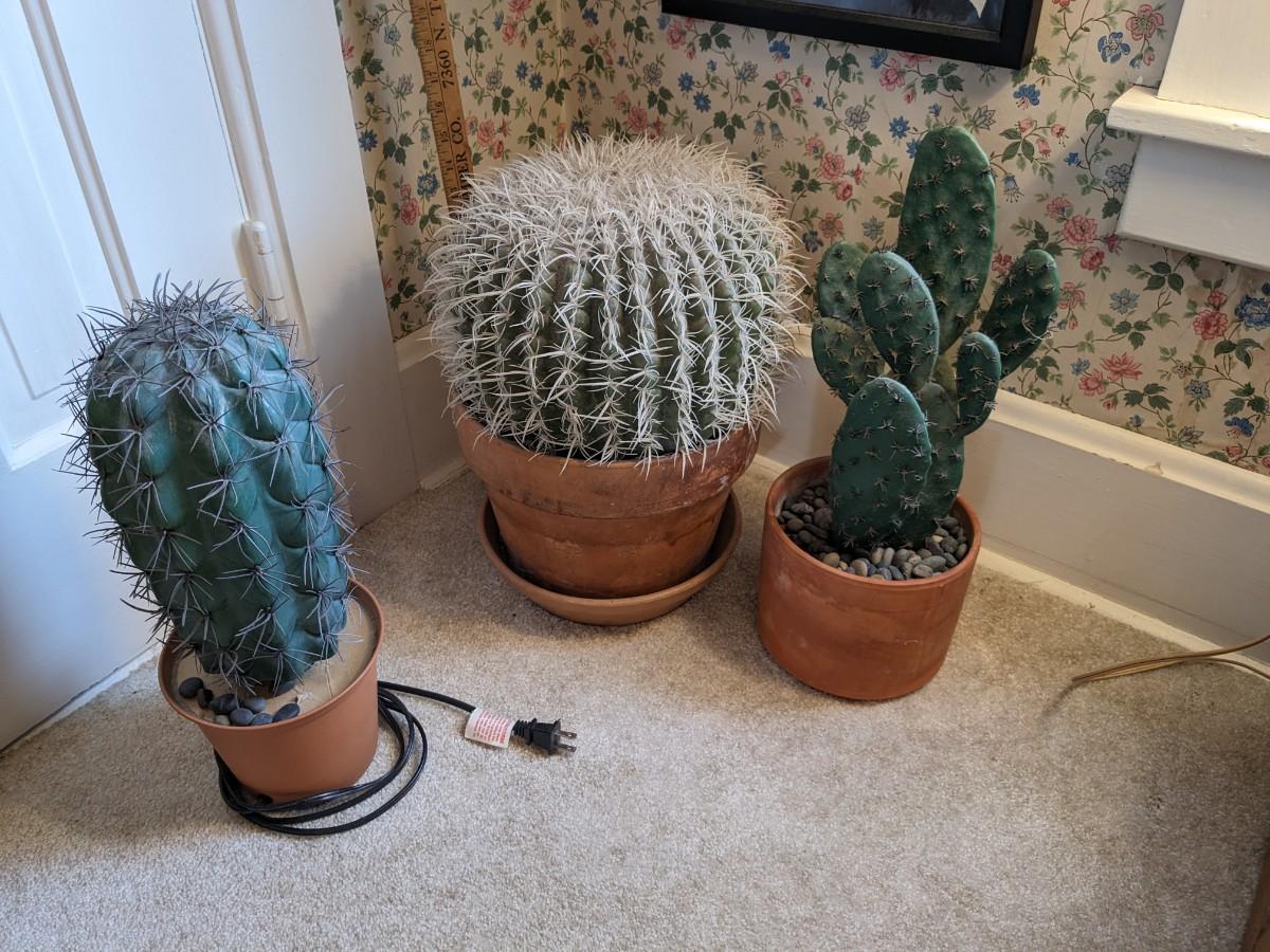 Set of 3 Artificial Cacti, 1 lights Up!