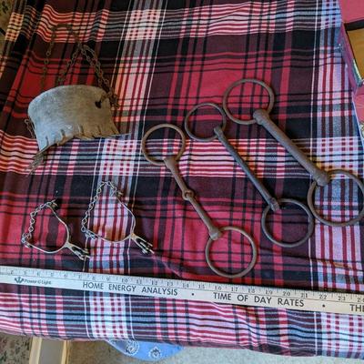 Variety Lot of Vintage Spurs, Cattle Gear