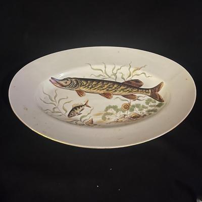 Fish Themed Collection (K-MG)