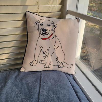 Dog Crate, Beds and More (FP-DW)